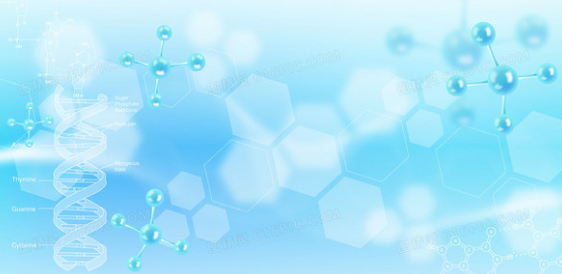 HelloGPT语言设置与回复风格调整全攻略，新手也能轻松上手